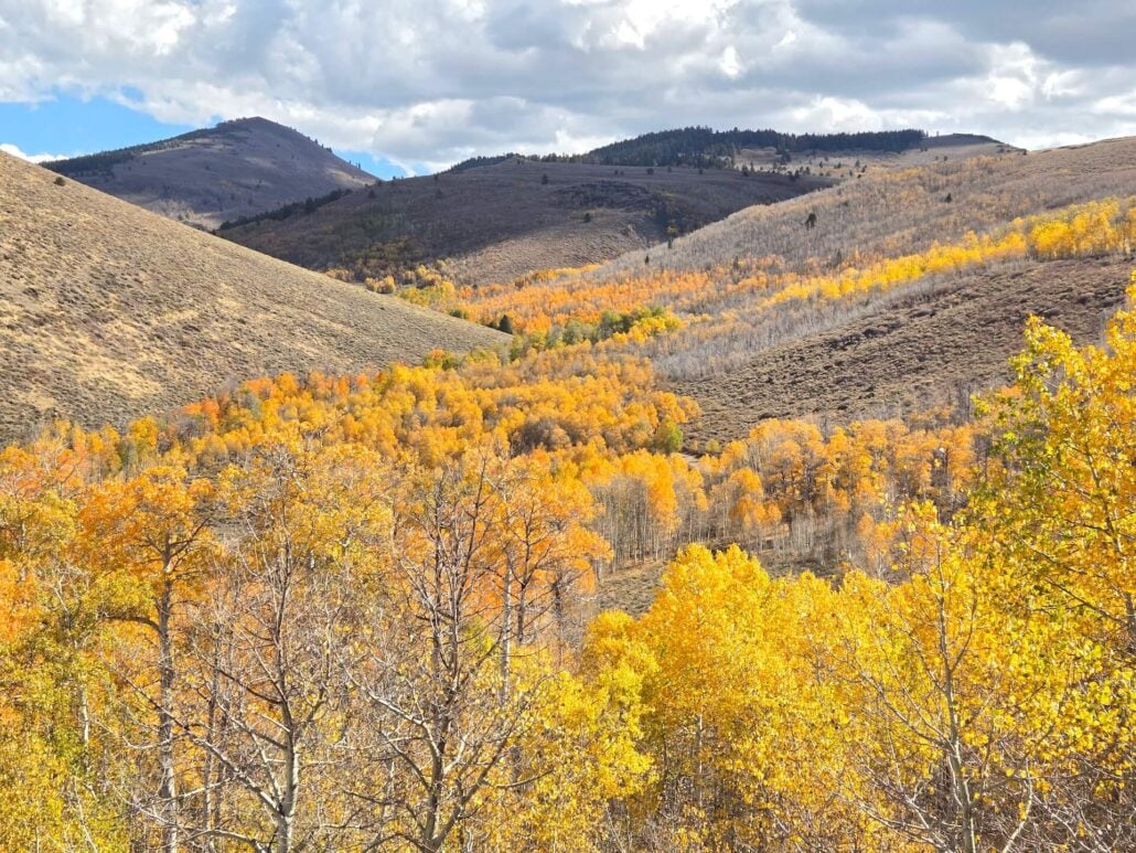10.05.26 Lobdell Mono County Tourism