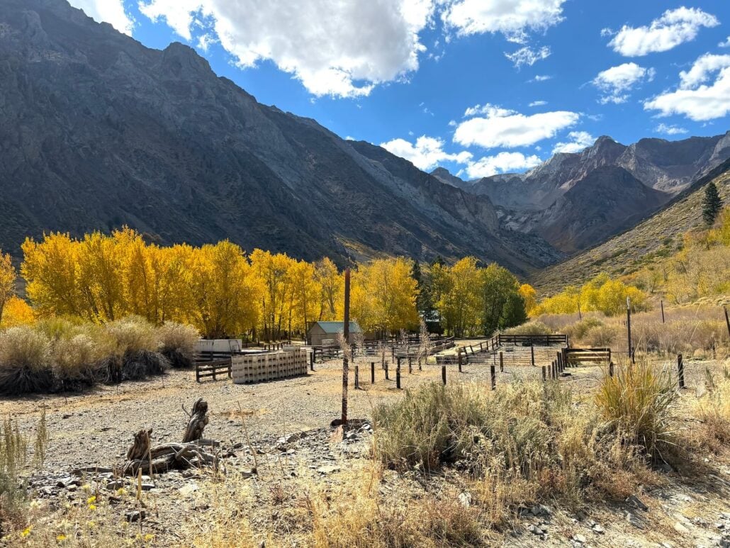 10.05.26 McGee Creek Emily Bryant Mono County Tourism