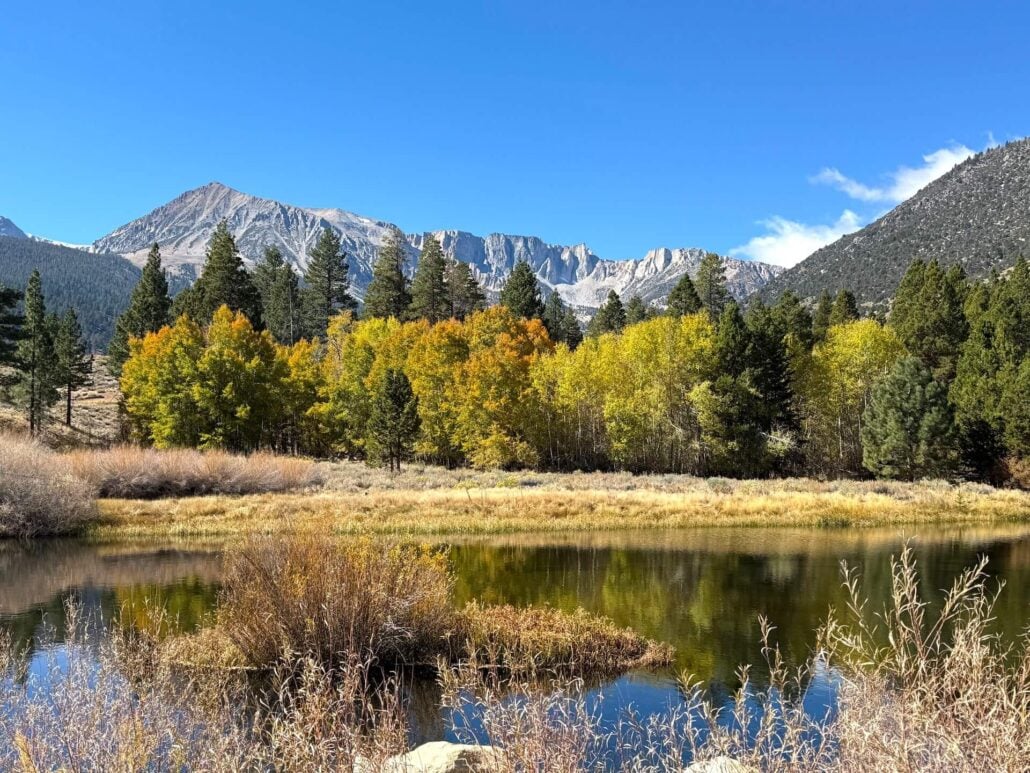 10.13.26 Lee Vining Creek Amanda Carlson Mono County Tourism