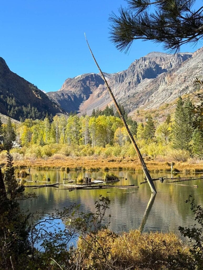 10.13.26 Lundy Amanda Carlson Mono County Tourism