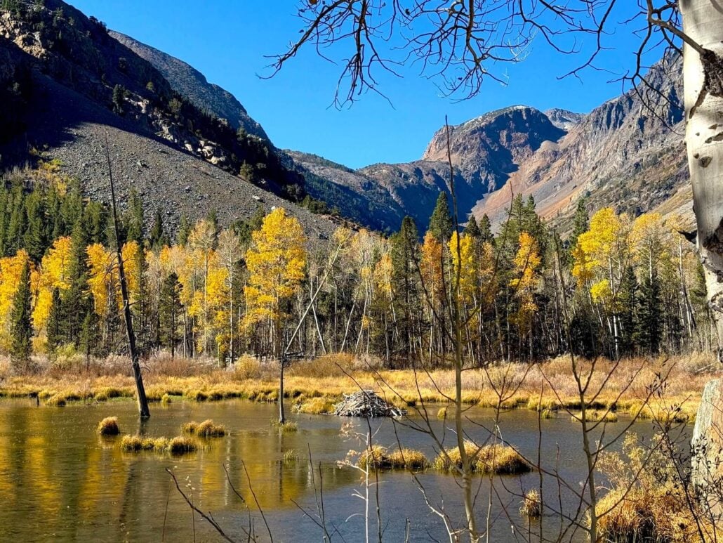 10.13.26 Lundy Amanda Carlson Mono County Tourism
