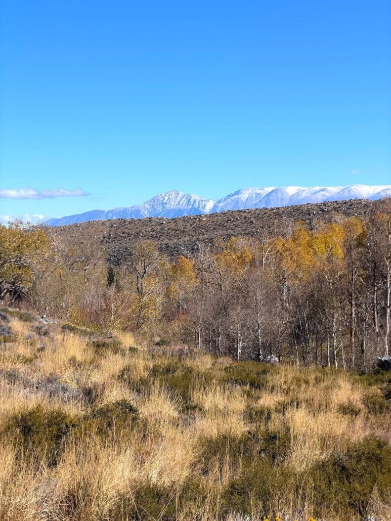 10.13.26 McGee Creek Emily Bryant Mono County Tourism