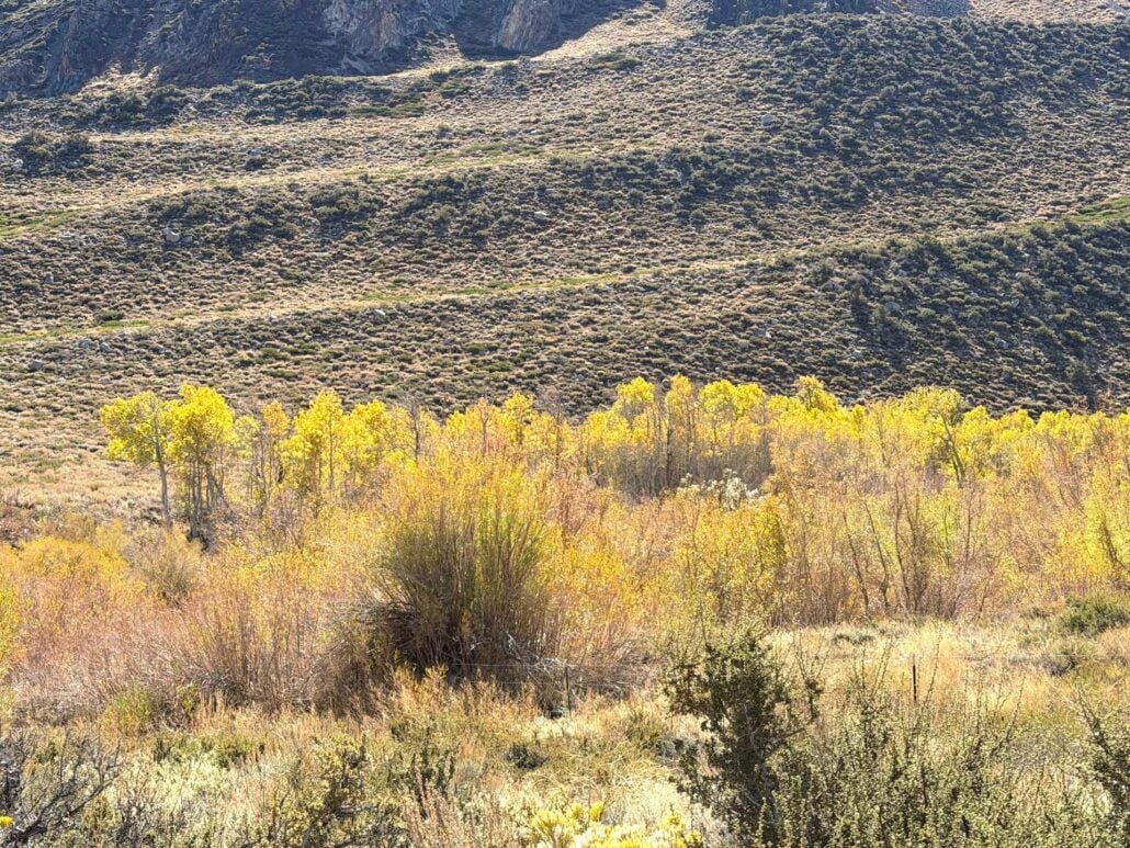 10.13.26 McGee Creek Emily Bryant Mono County Tourism