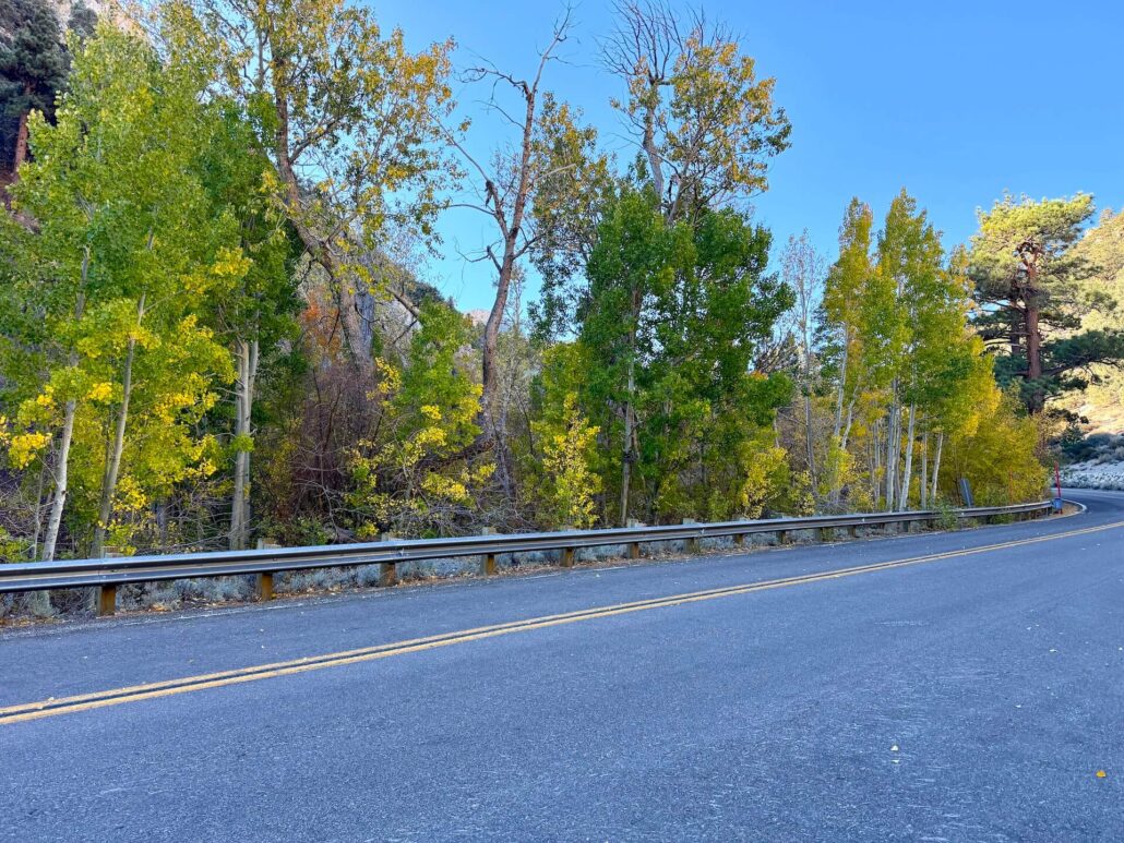 10.13.26 Rock Creek Road Emily Bryant Mono County Tourism