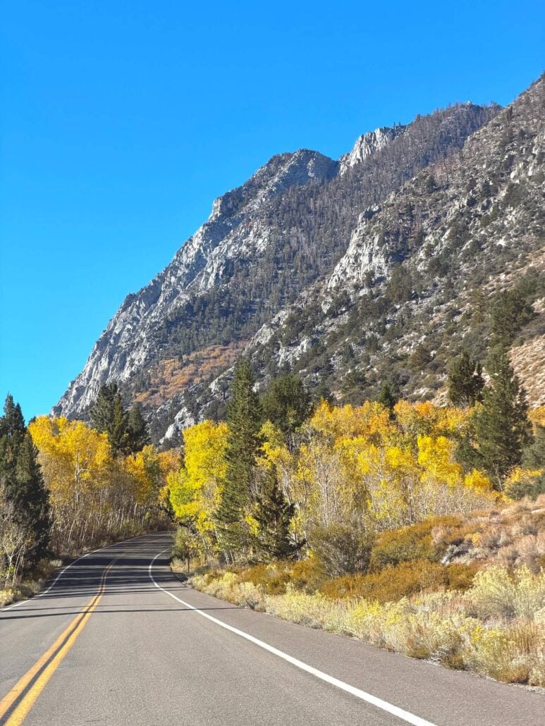 10.13.26 Rock Creek Road Emily Bryant Mono County Tourism
