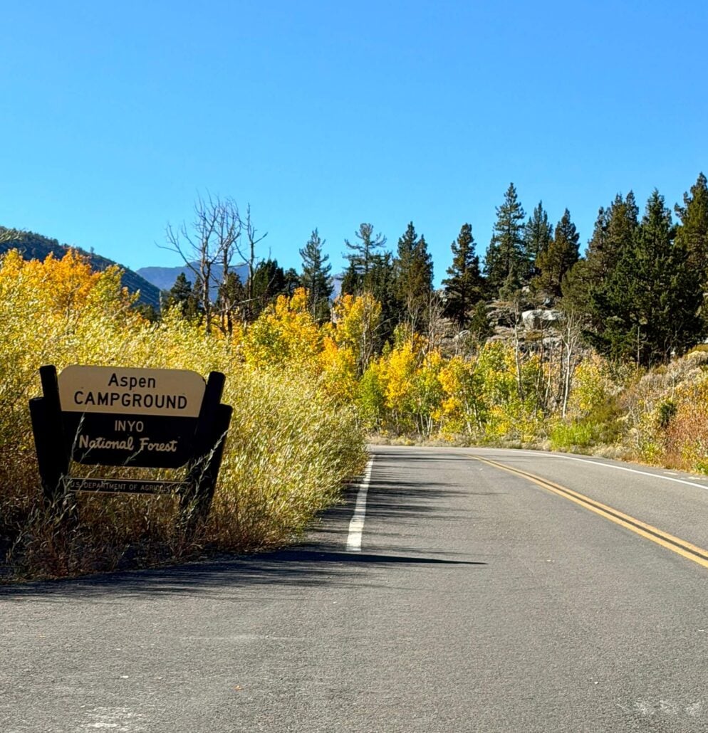 10.13.26 Rock Creek Road Emily Bryant Mono County Tourism