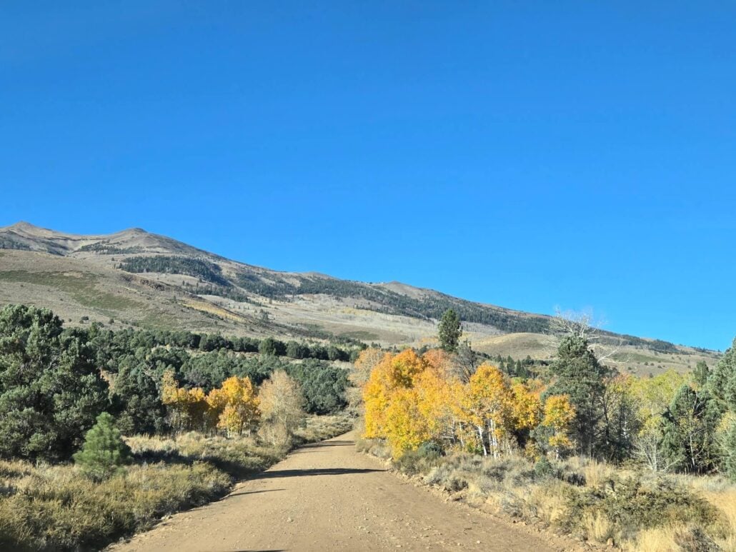 10.13.26 Summers Meadow Mono County Tourism