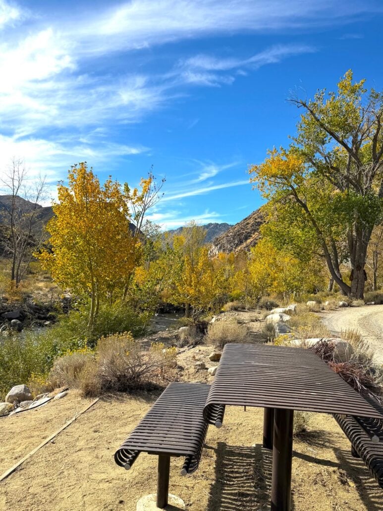 10.19.26 Walker River