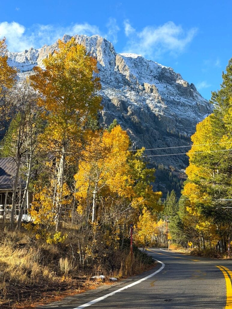 10.22.26 June Lake Loop Emily Bryant Mono County Tourism