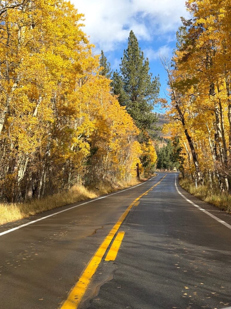 10.22.26 June Lake Loop Emily Bryant Mono County Tourism