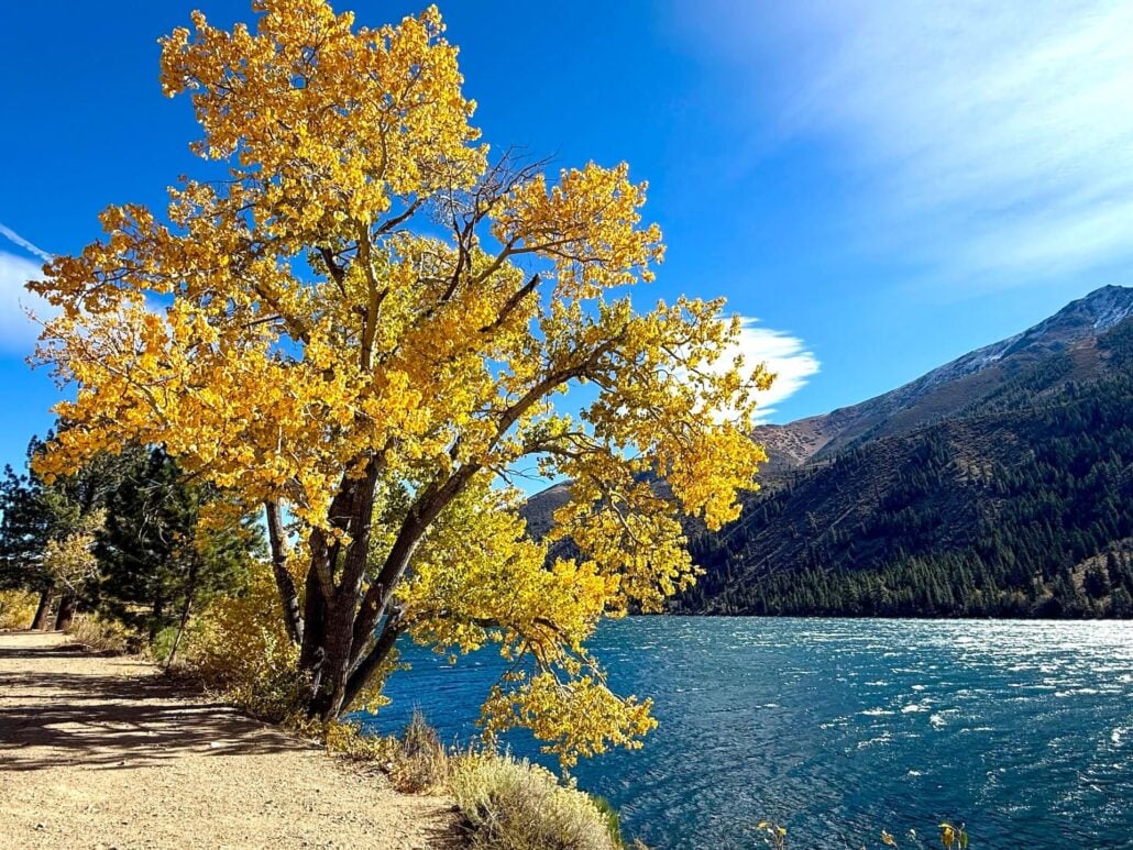 10.26.26 Bridgeport Twin Lakes Amanda Carlson Mono County Tourism