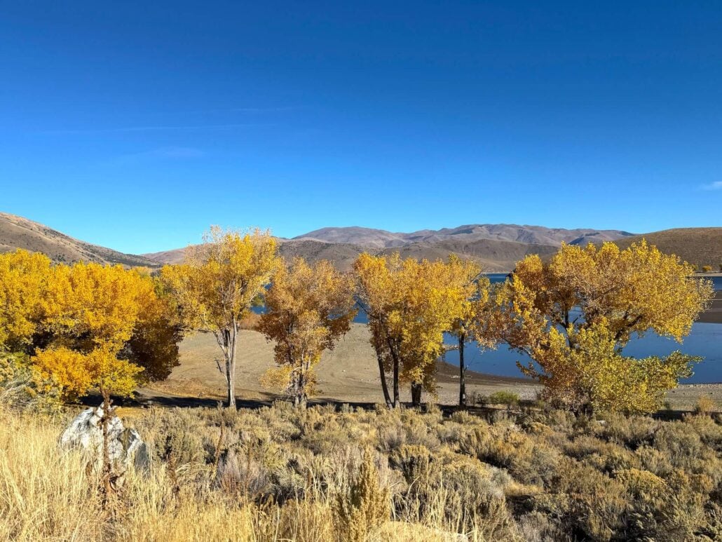 10.26.26 Topaz Amanda Carlson Mono County Tourism