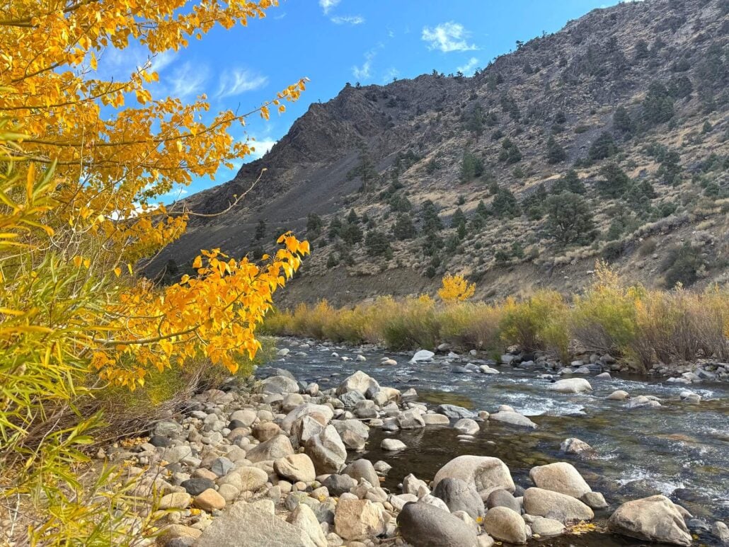 10.26.26 Walker River Amanda Carlson Mono County Tourism