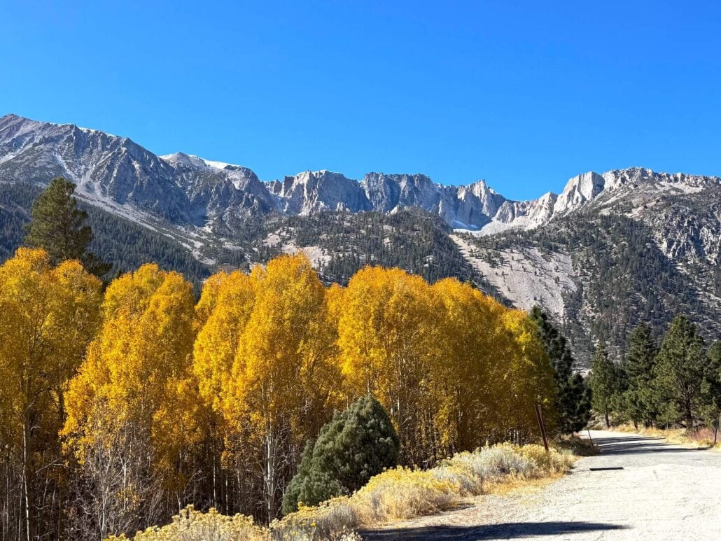 10.26.27.26 Lee Vining Creek Amanda Carlson Mono County Tourism