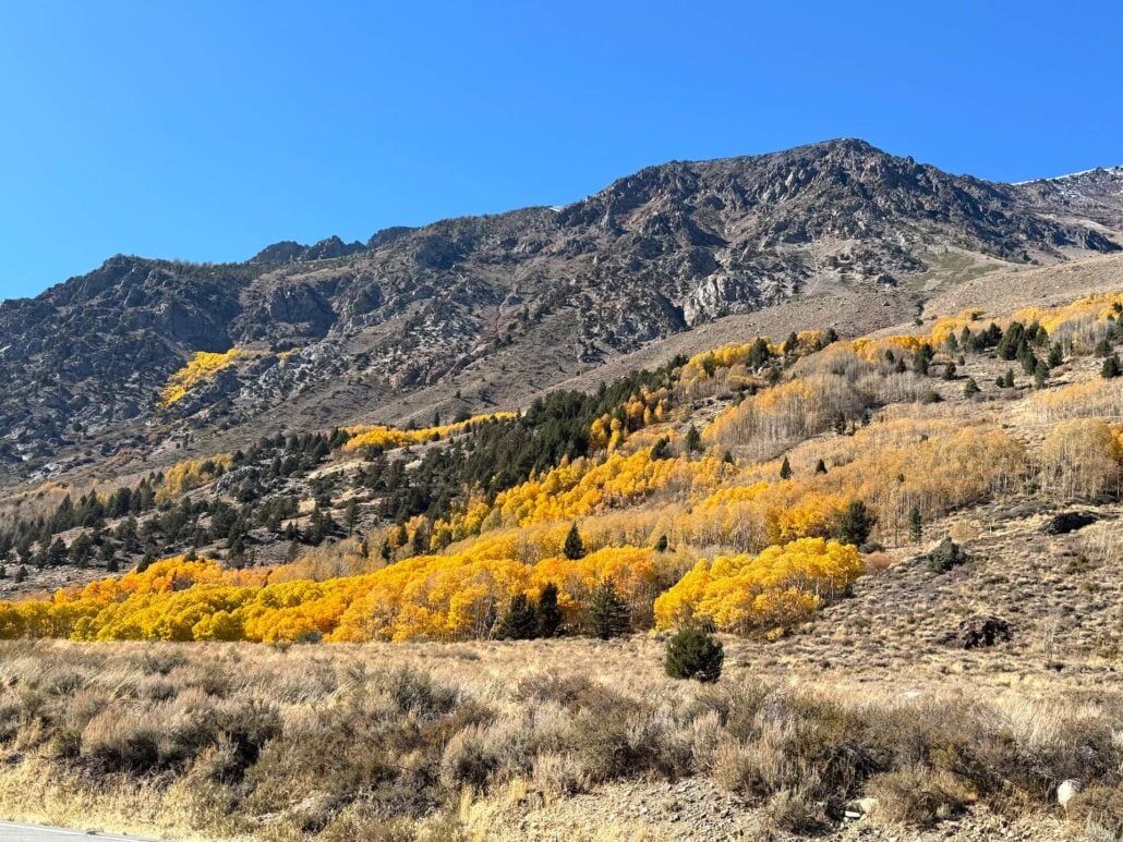 10.27.26 June Lake Loop Liz Grans Mono County Tourism (8)