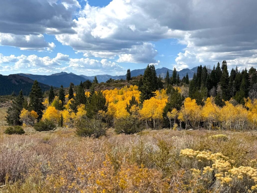 10.5.26 Monitor Pass Amanda Carlson Mono County Tourism