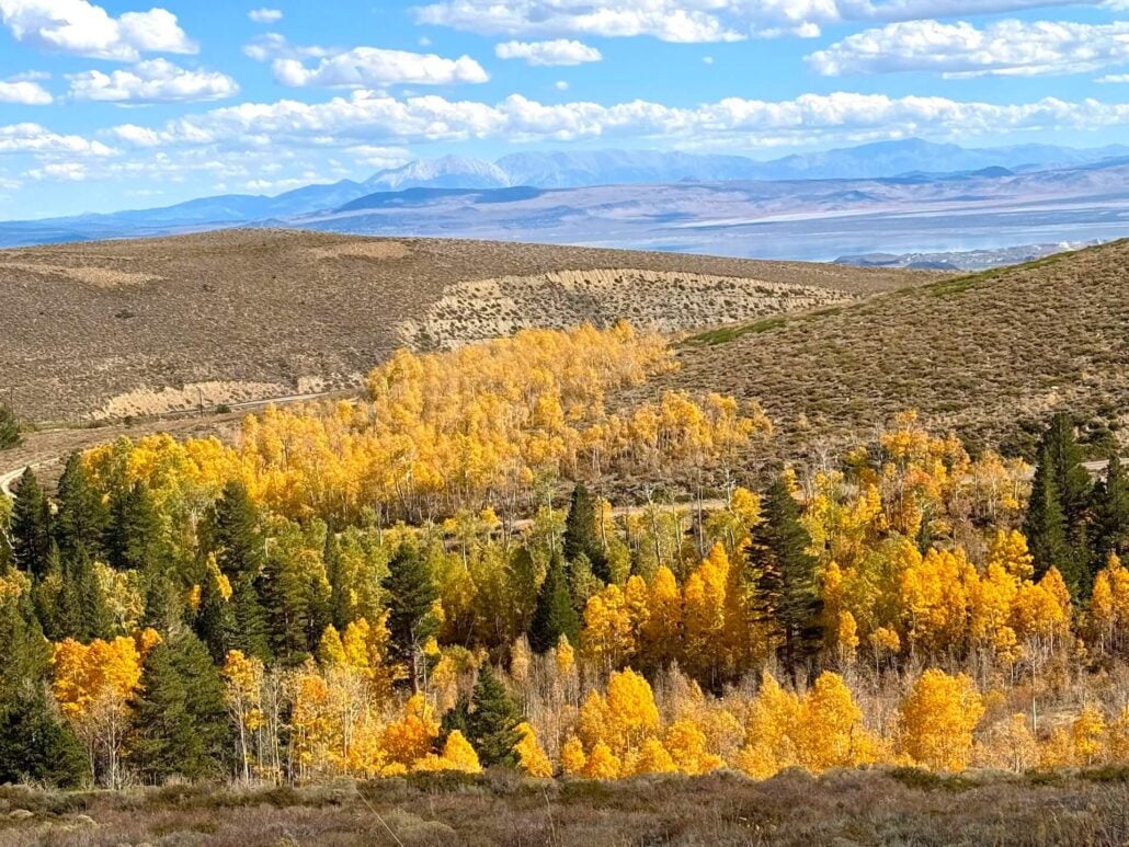 10.5.26 Virginia Lakes Amanda Carlson Mono County Tourism