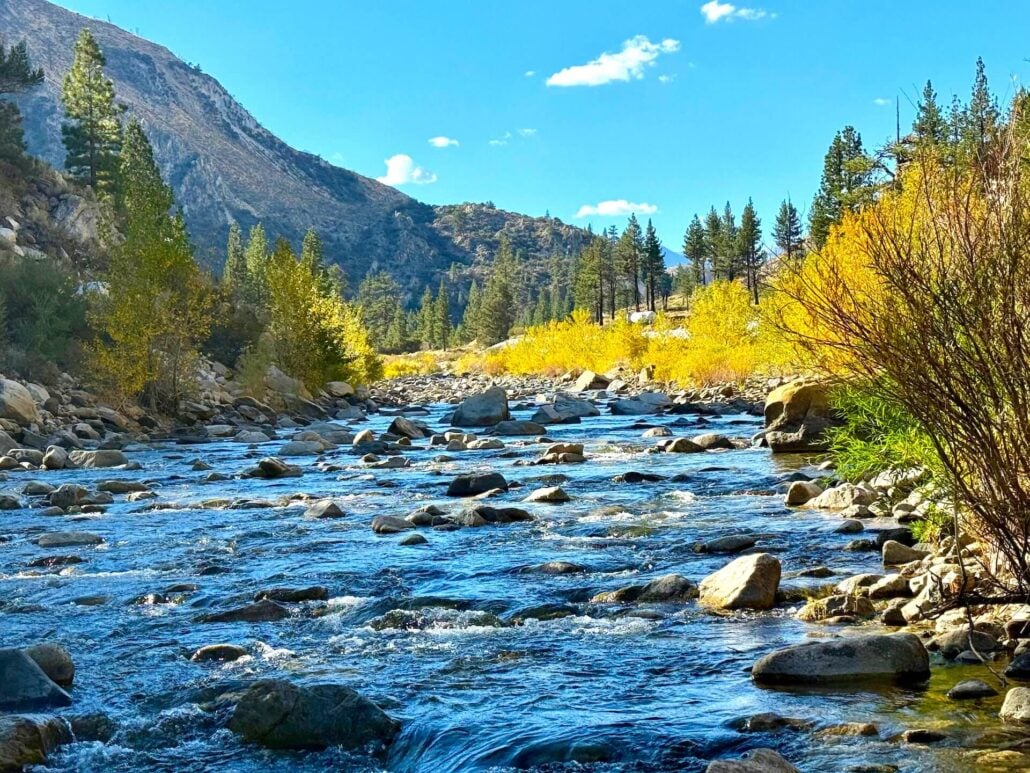 10.5.26 Walker River Amanda Carlson Mono County Tourism