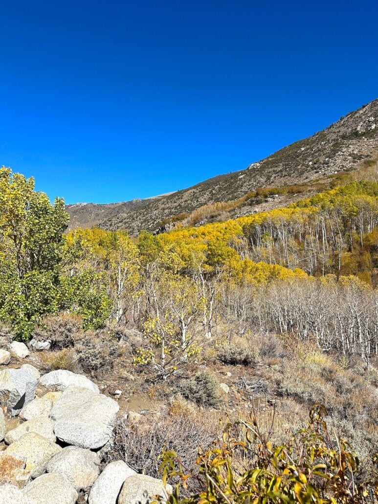 2026 10 14 mist falls