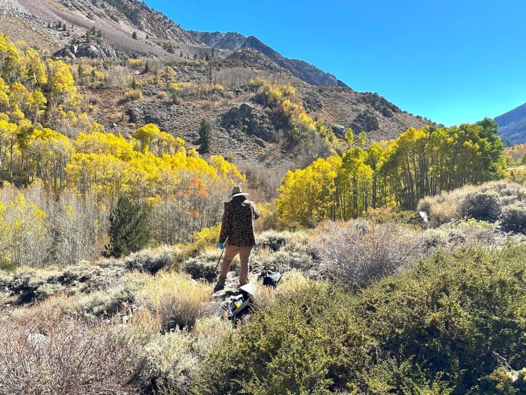 2026 10 14 mtn glen