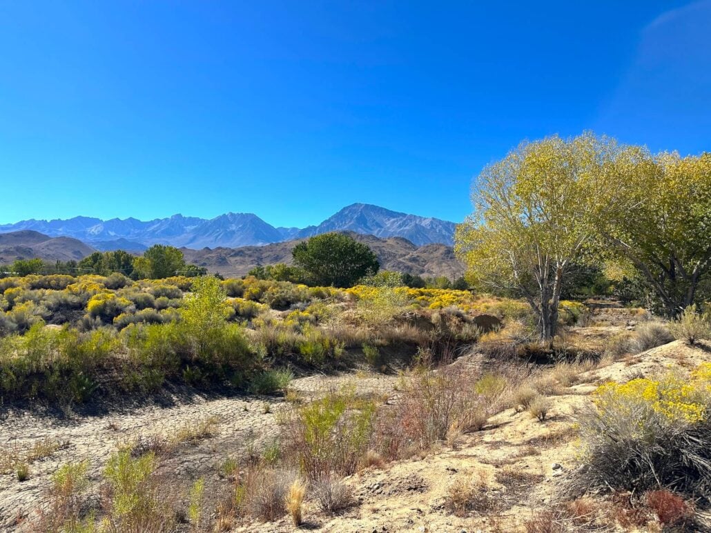2026 10 14 round valley