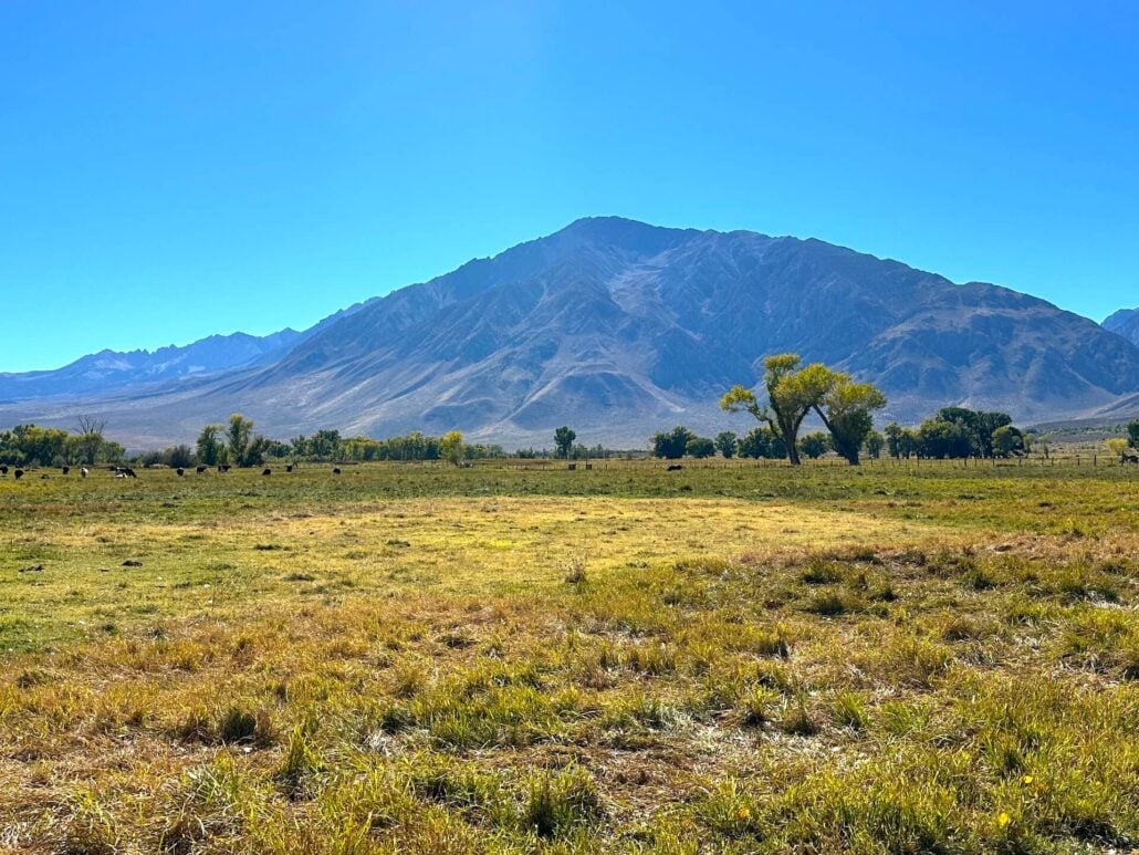2026 10 14 round valley
