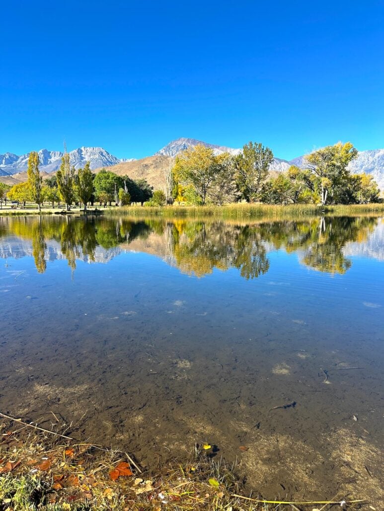 2026 10 21 millpond