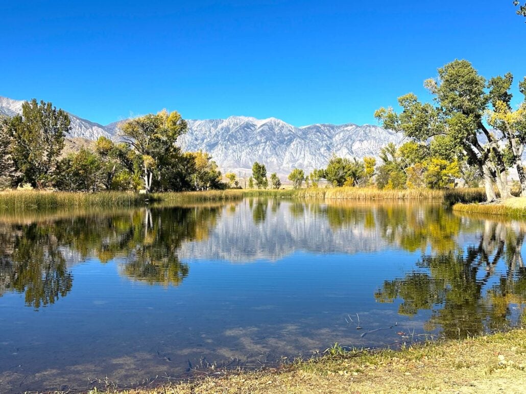 2026 10 21 millpond