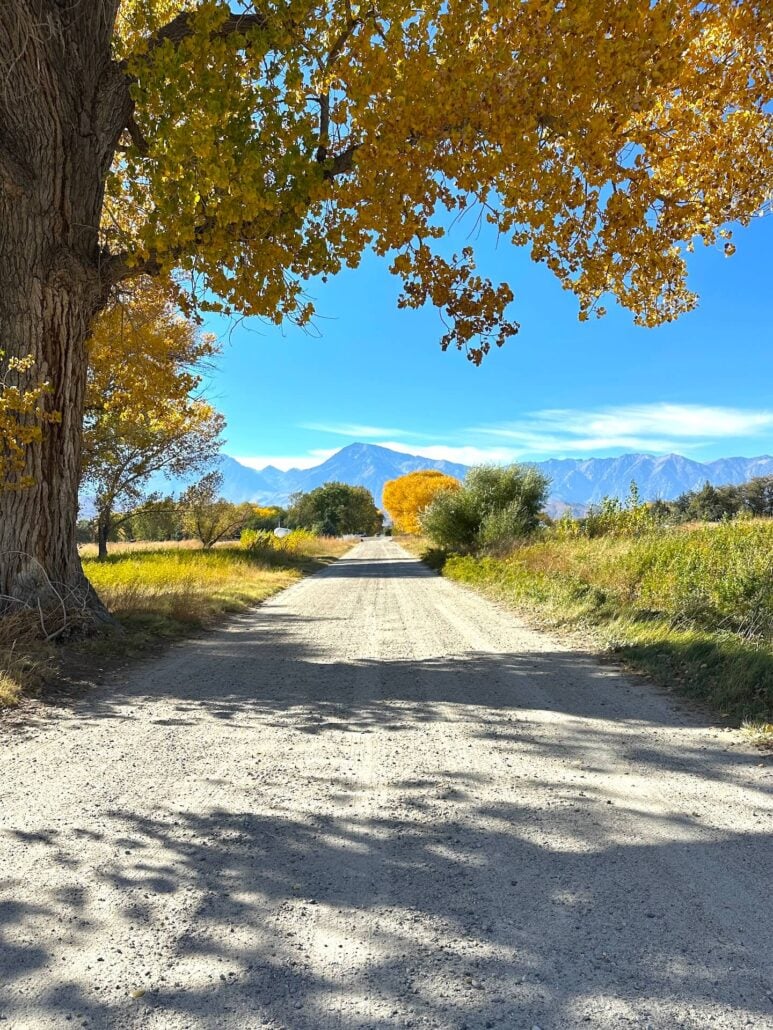 2026 10 28 near town