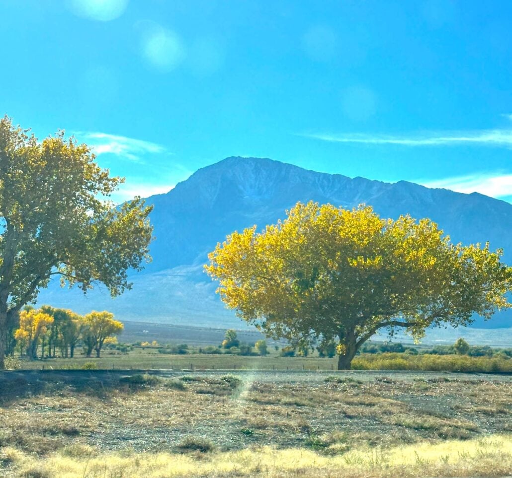 2026 10 28 round valley