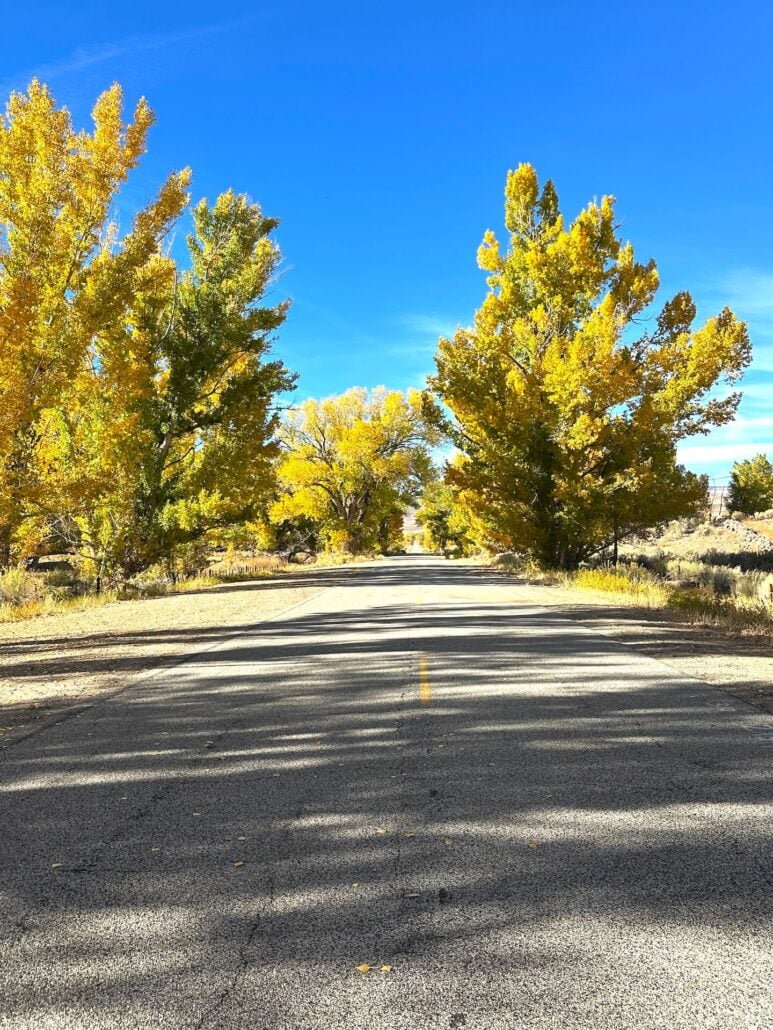 2026 10 28 round valley