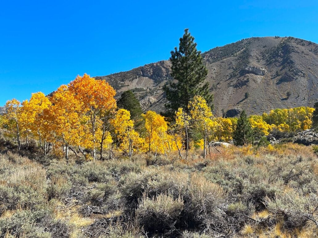 2026 10 7 middle fork
