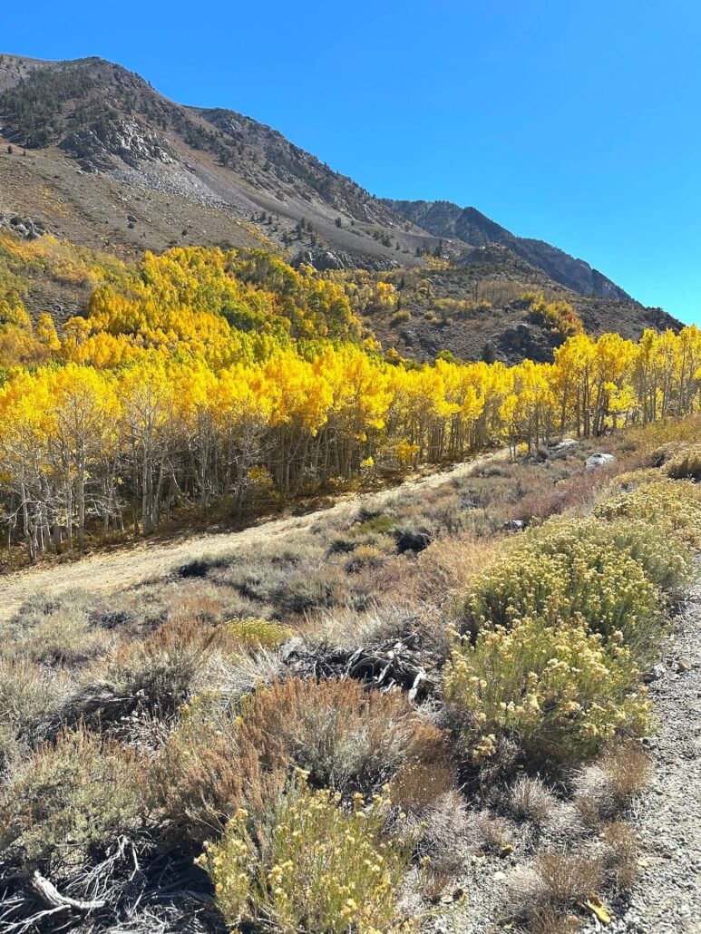 2026 10 7 mist falls south fork