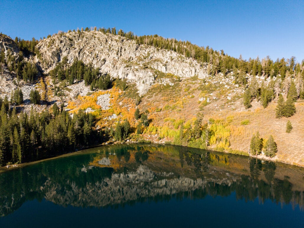 Default