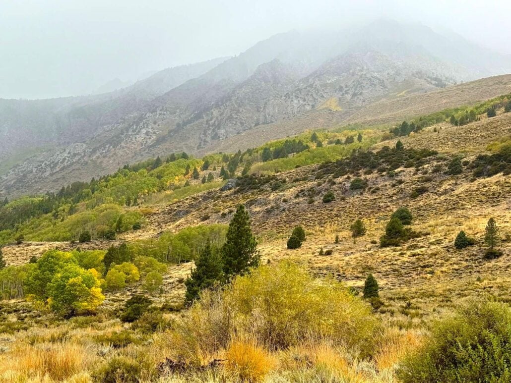 9.28.26 June Lake Loop Amanda Carlson Mono County Tourism