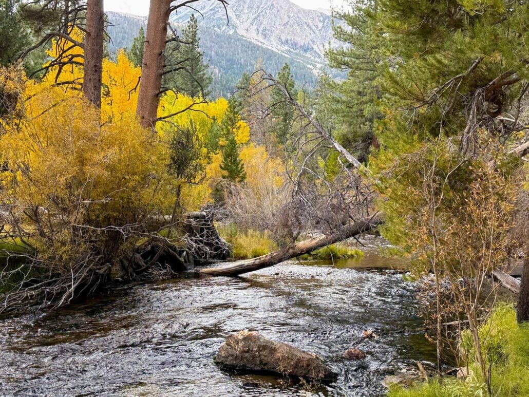9.28.26 Lee Vining Canyon Amanda Carlson Mono County Tourism