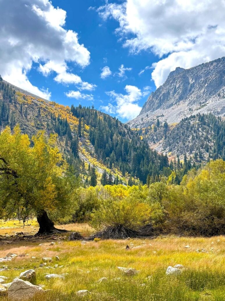 9.28.26 Lundy Amanda Carlson Mono County Tourism