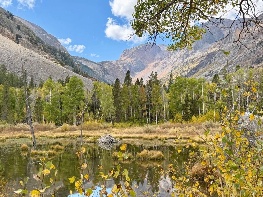 9.28.26 Lundy Amanda Carlson Mono County Tourism