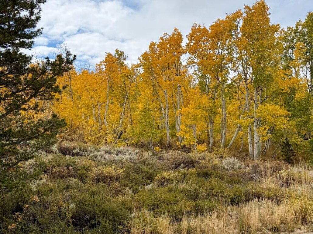9.28.26 Virginia Lakes Amanda Carlson Mono County Tourism