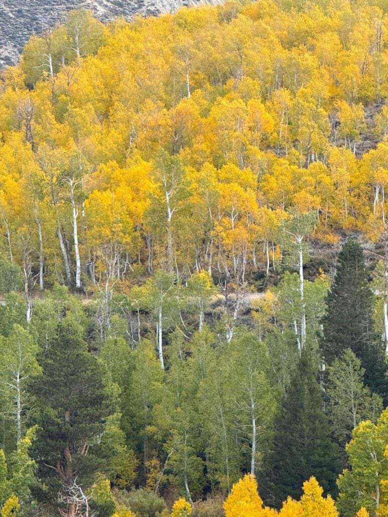 9.28.26 Virginia Lakes Amanda Carlson Mono County Tourism