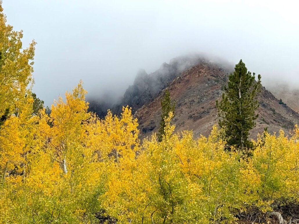 9.28.26 Virginia Lakes Amanda Carlson Mono County Tourism
