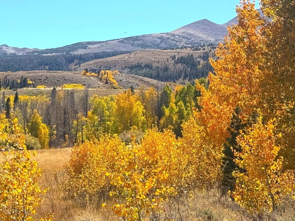 9.29.26 Dunderberg Road Amanda Carlson Mono County Tourism