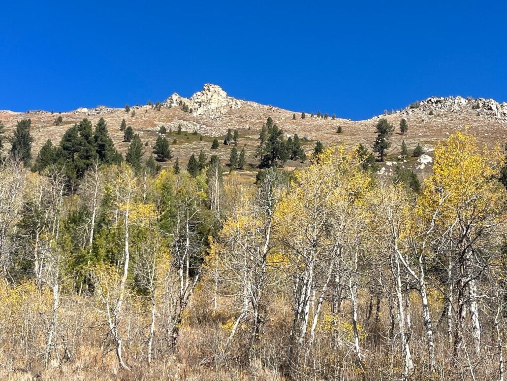 Big Meadow3
