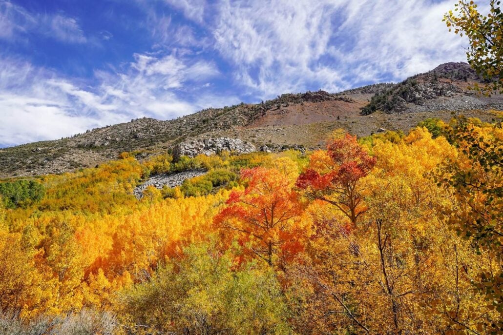 Bishop creek (1)