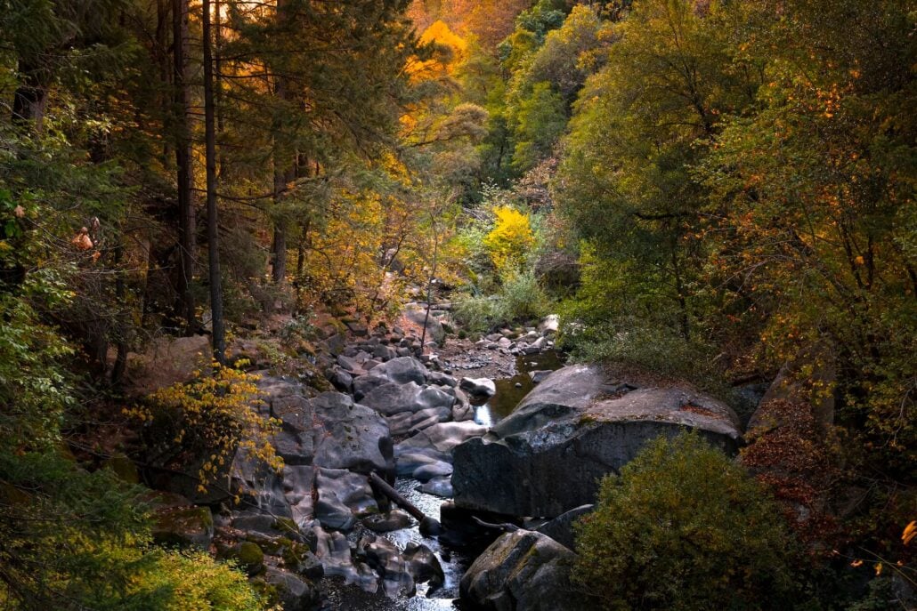 DeerCreekTribute
