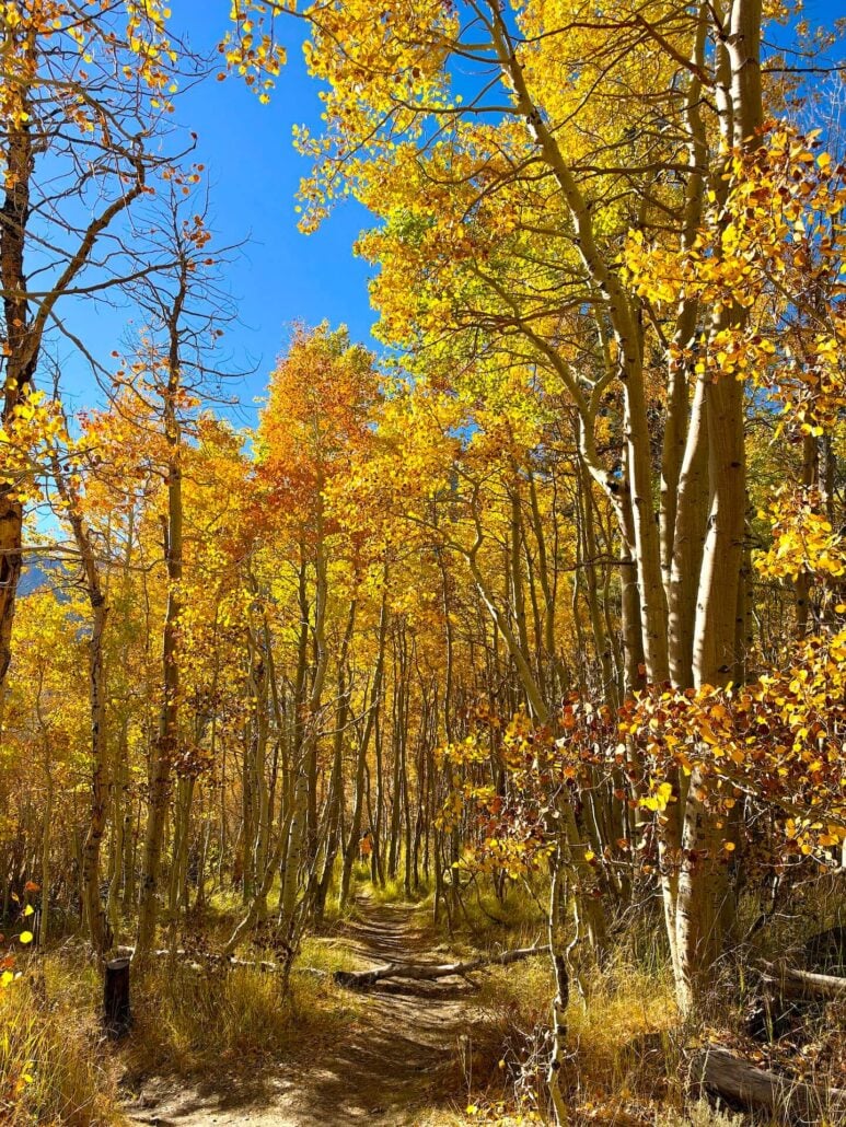 June Lake