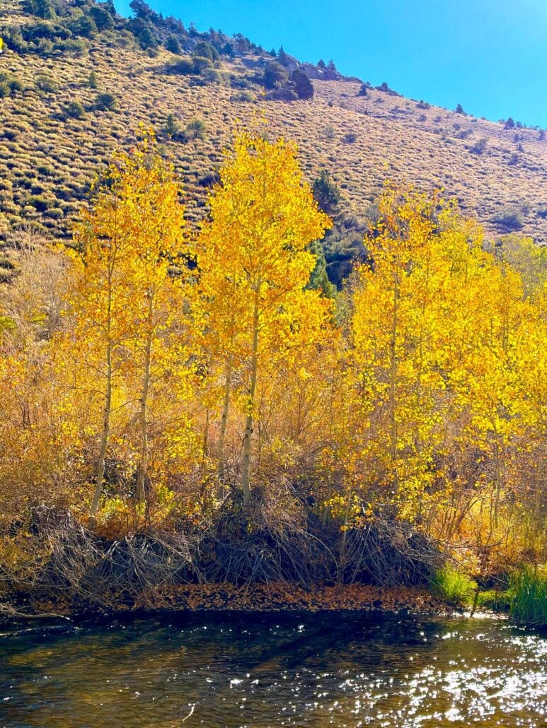 June Lake