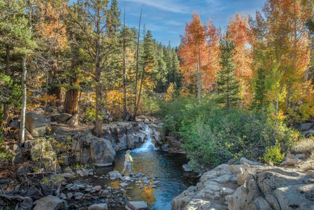Leavitt Falls 2020 CFC