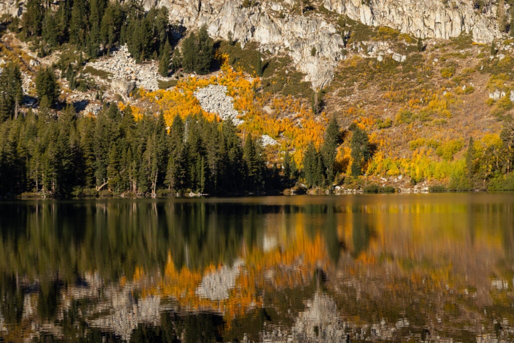 Mammoth Lakes Basin Fall Colors (9 30 26) Photo Credit Samantha Lindberg Mammoth Lakes Toursim