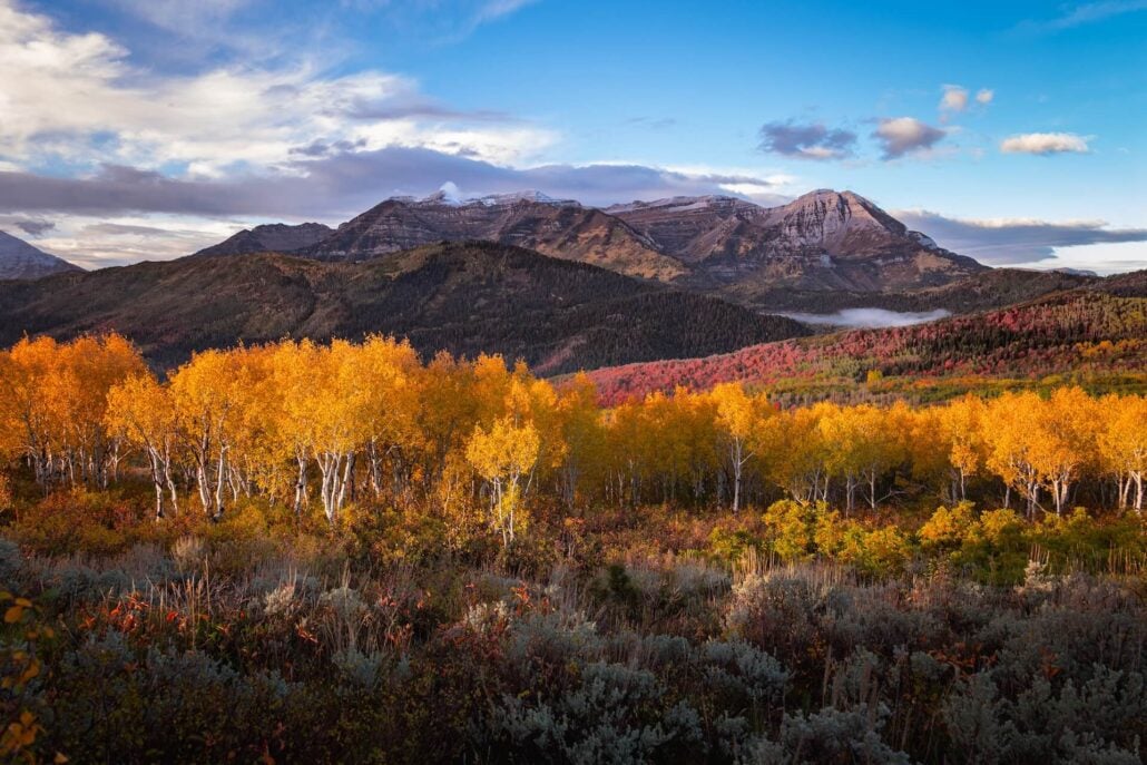 MtTimpanogos